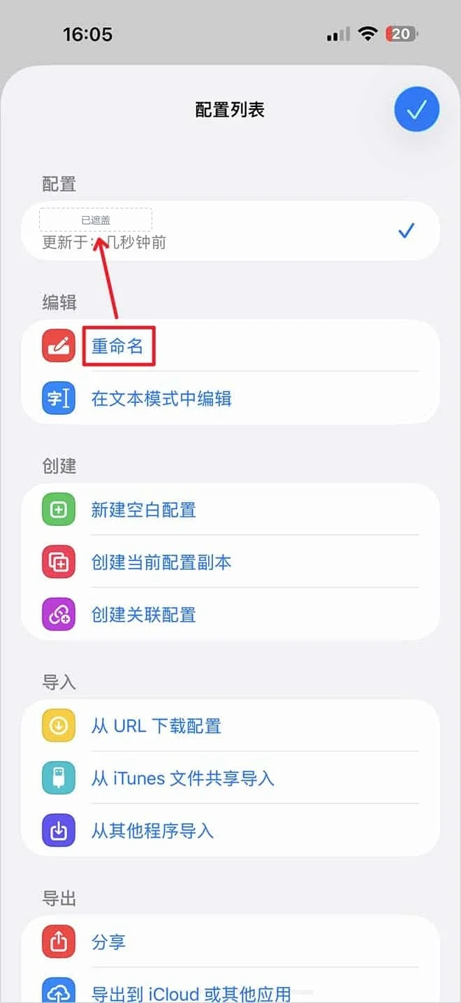 Surge 配置列表,新下载的配置已被勾选,红框标出编辑分组里的重命名